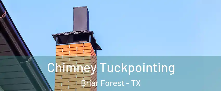 Chimney Tuckpointing Briar Forest - TX