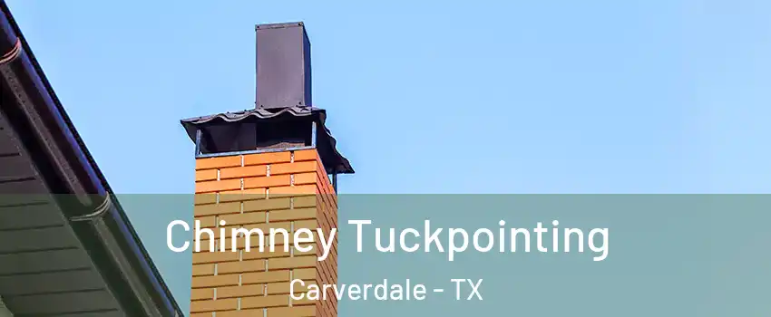 Chimney Tuckpointing Carverdale - TX