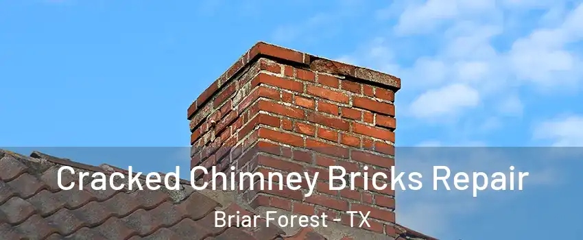 Cracked Chimney Bricks Repair Briar Forest - TX