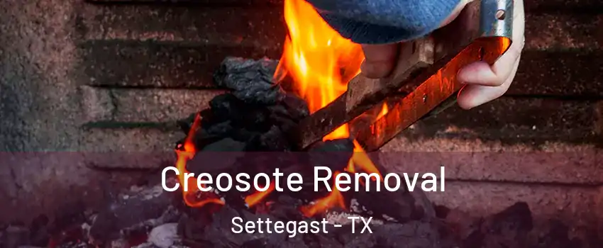 Creosote Removal Settegast - TX