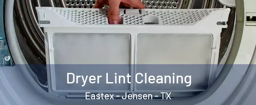 Dryer Lint Cleaning Eastex - Jensen - TX