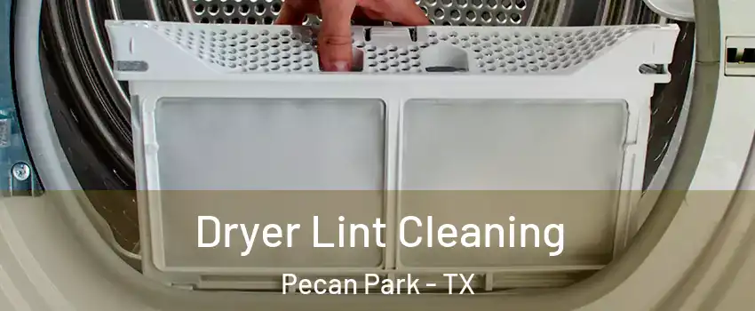 Dryer Lint Cleaning Pecan Park - TX