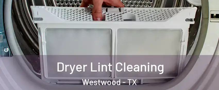 Dryer Lint Cleaning Westwood - TX