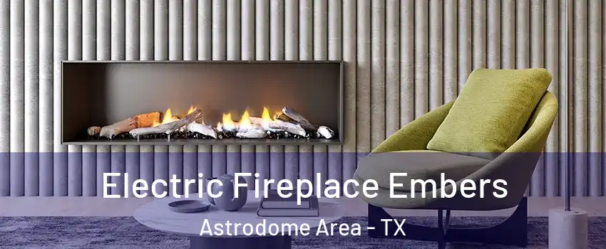 Electric Fireplace Embers Astrodome Area - TX