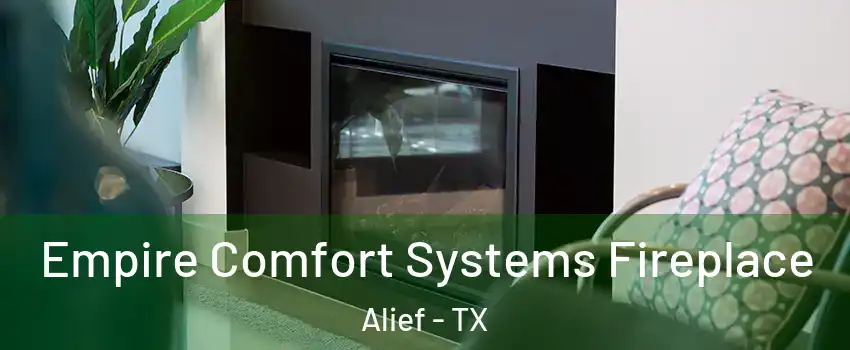 Empire Comfort Systems Fireplace Alief - TX