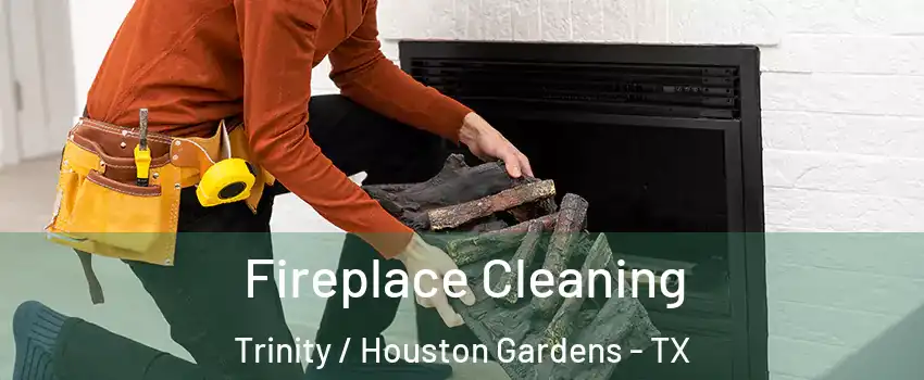 Fireplace Cleaning Trinity / Houston Gardens - TX