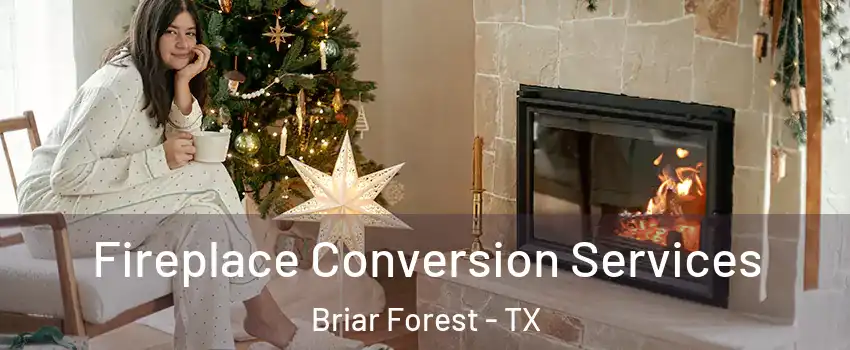 Fireplace Conversion Services Briar Forest - TX