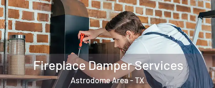 Fireplace Damper Services Astrodome Area - TX