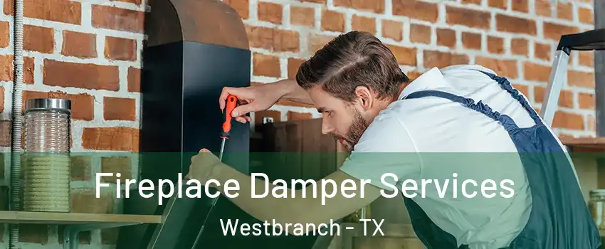 Fireplace Damper Services Westbranch - TX