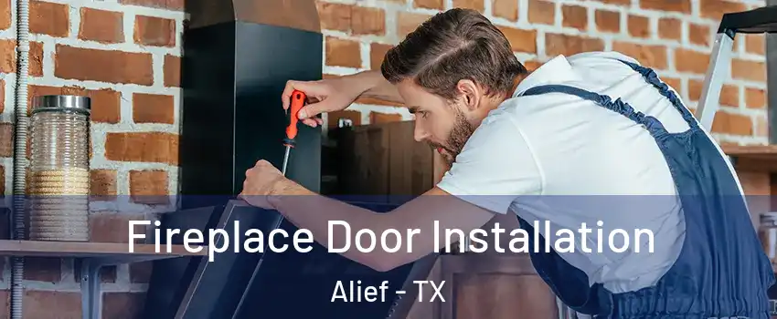 Fireplace Door Installation Alief - TX