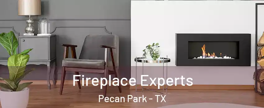 Fireplace Experts Pecan Park - TX