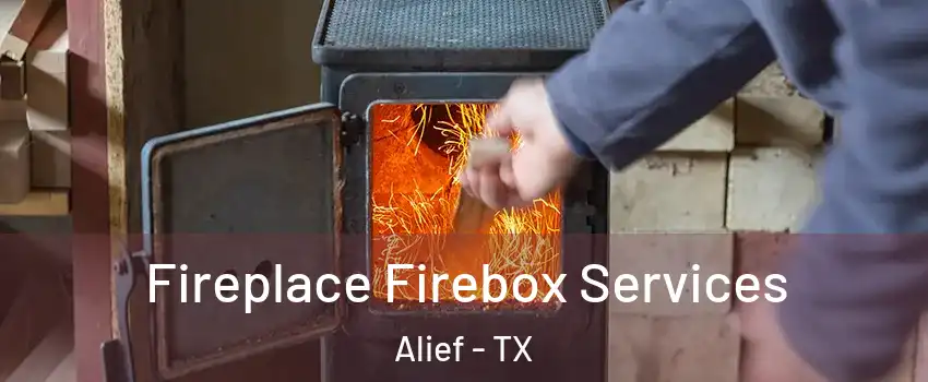 Fireplace Firebox Services Alief - TX