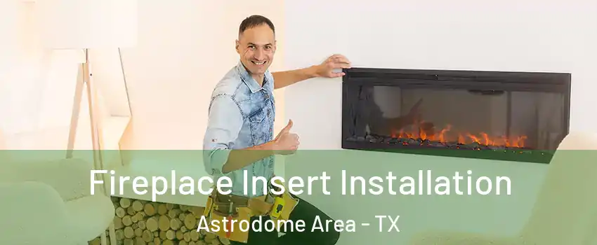 Fireplace Insert Installation Astrodome Area - TX