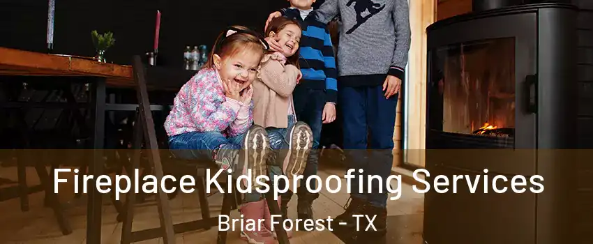 Fireplace Kidsproofing Services Briar Forest - TX