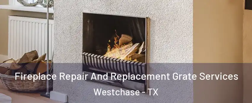 Fireplace Repair And Replacement Grate Services Westchase - TX