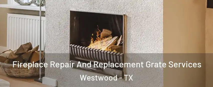 Fireplace Repair And Replacement Grate Services Westwood - TX