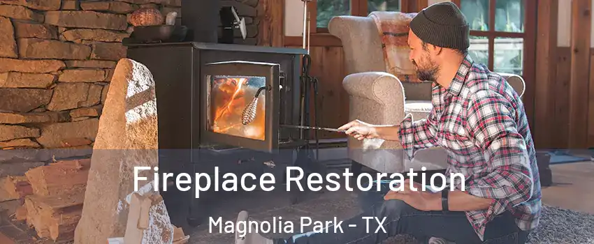 Fireplace Restoration Magnolia Park - TX