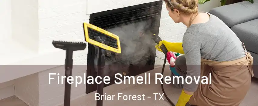 Fireplace Smell Removal Briar Forest - TX