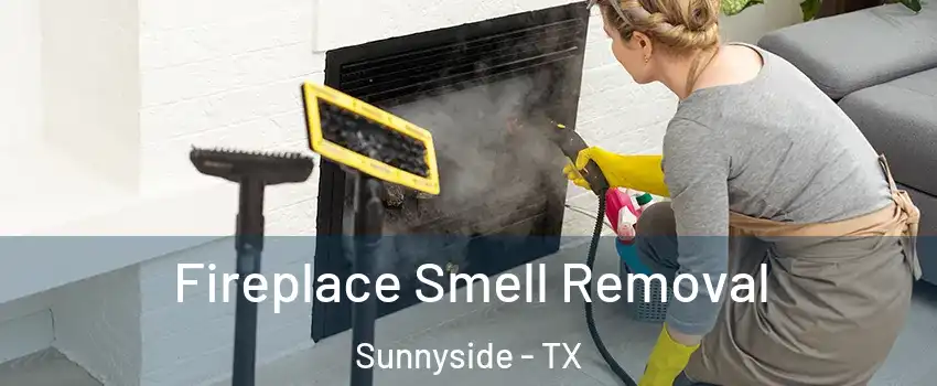 Fireplace Smell Removal Sunnyside - TX