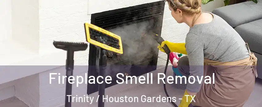 Fireplace Smell Removal Trinity / Houston Gardens - TX