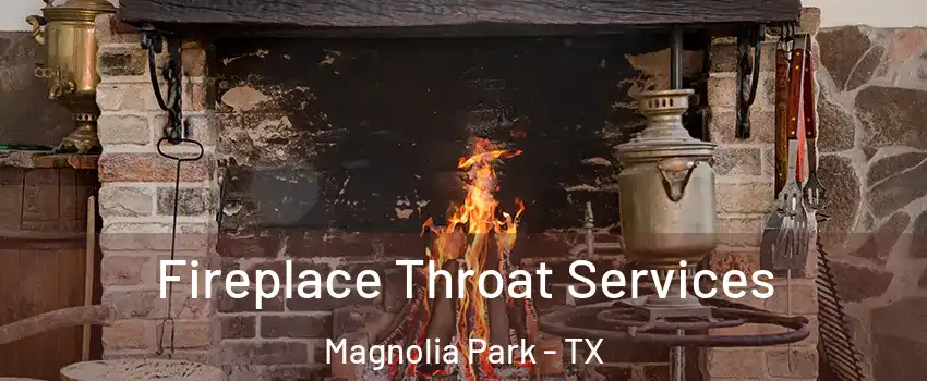 Fireplace Throat Services Magnolia Park - TX