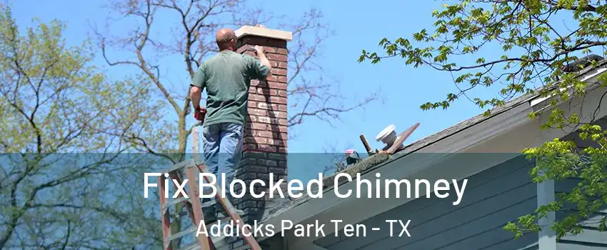 Fix Blocked Chimney Addicks Park Ten - TX