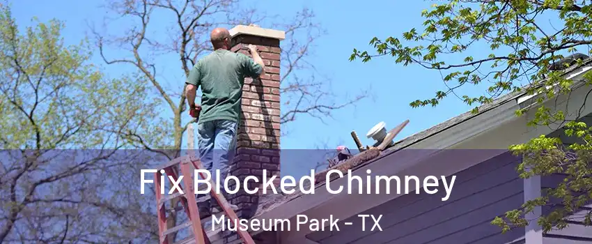 Fix Blocked Chimney Museum Park - TX