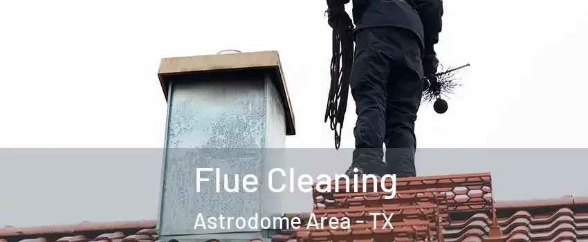 Flue Cleaning Astrodome Area - TX