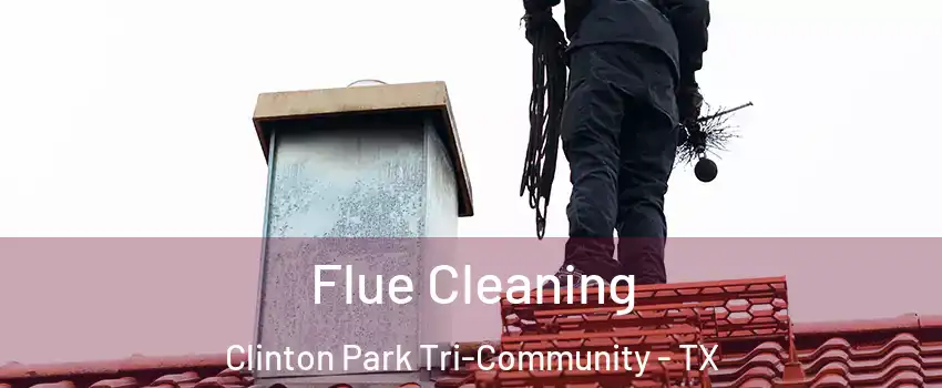 Flue Cleaning Clinton Park Tri-Community - TX