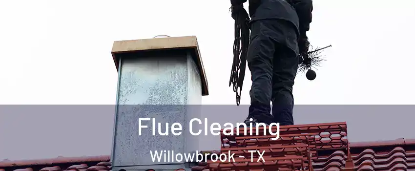 Flue Cleaning Willowbrook - TX