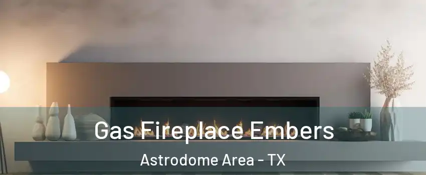 Gas Fireplace Embers Astrodome Area - TX