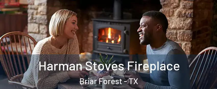 Harman Stoves Fireplace Briar Forest - TX