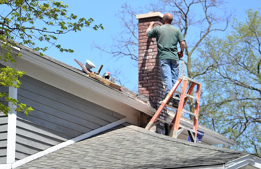 Chimney & Fireplace Inspections Services in Houston, TX