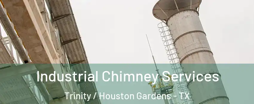 Industrial Chimney Services Trinity / Houston Gardens - TX