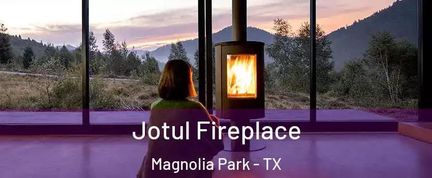 Jotul Fireplace Magnolia Park - TX