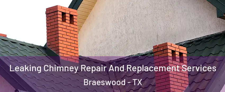 Leaking Chimney Repair And Replacement Services Braeswood - TX