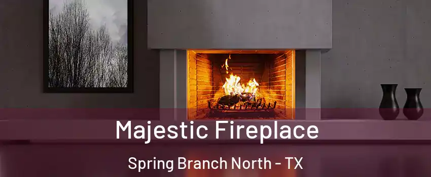 Majestic Fireplace Spring Branch North - TX