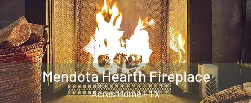 Mendota Hearth Fireplace Acres Home - TX