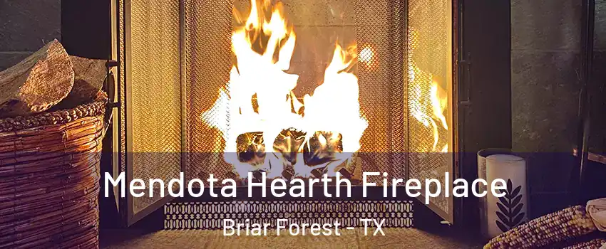 Mendota Hearth Fireplace Briar Forest - TX