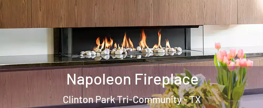 Napoleon Fireplace Clinton Park Tri-Community - TX