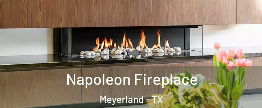 Napoleon Fireplace Meyerland - TX