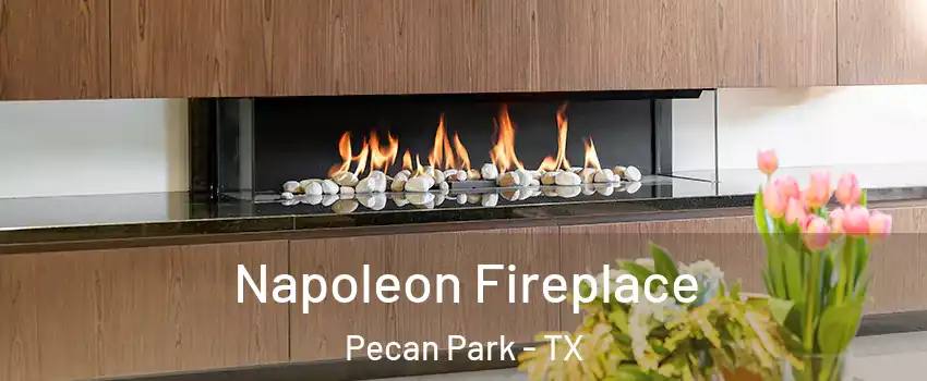 Napoleon Fireplace Pecan Park - TX