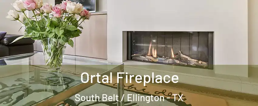 Ortal Fireplace South Belt / Ellington - TX