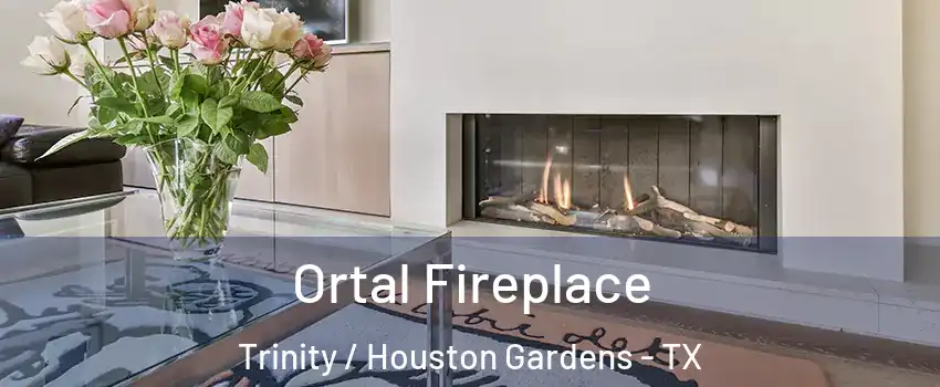 Ortal Fireplace Trinity / Houston Gardens - TX