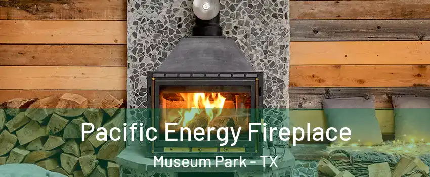 Pacific Energy Fireplace Museum Park - TX