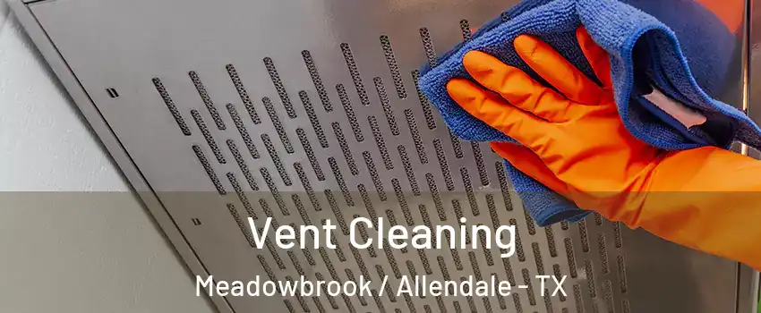 Vent Cleaning Meadowbrook / Allendale - TX