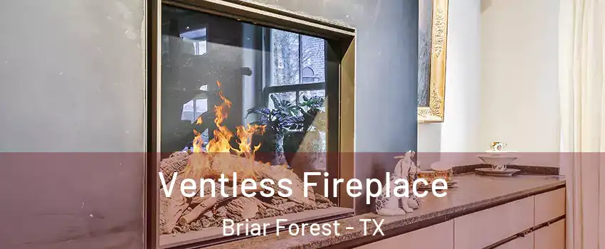 Ventless Fireplace Briar Forest - TX